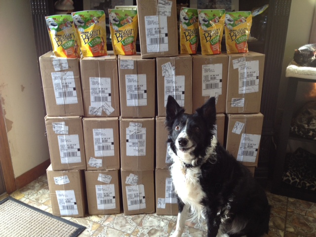 Freedom's Last Chance Sanctuary Photo 1